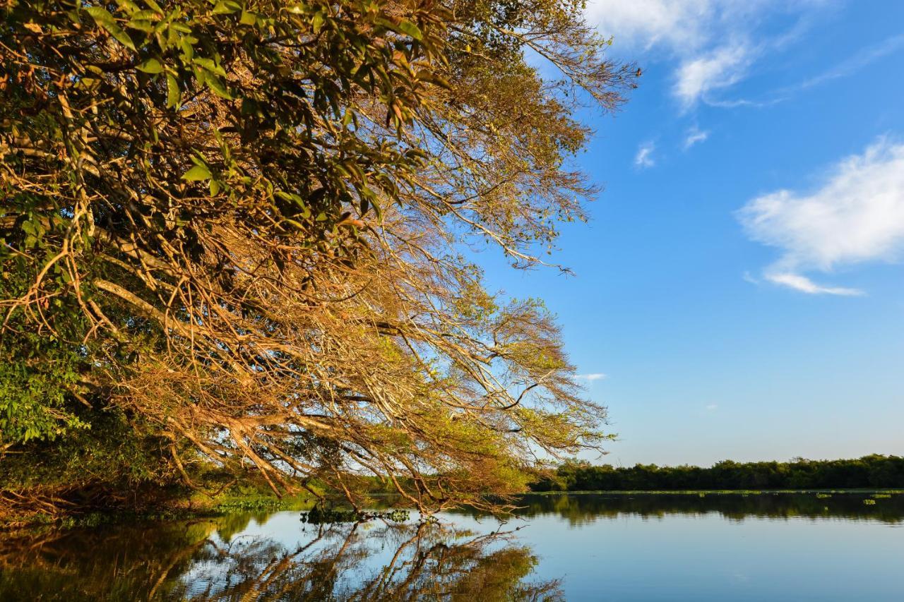 Pousada Rio Claro Poconé Dış mekan fotoğraf